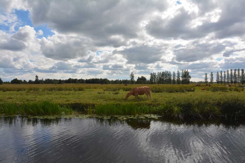 DSC_6092Mittel_.JPG